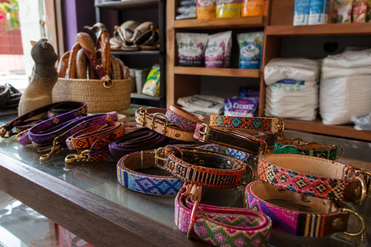 Bunte Hundehalsband-Kollektion auf einem Glastresen