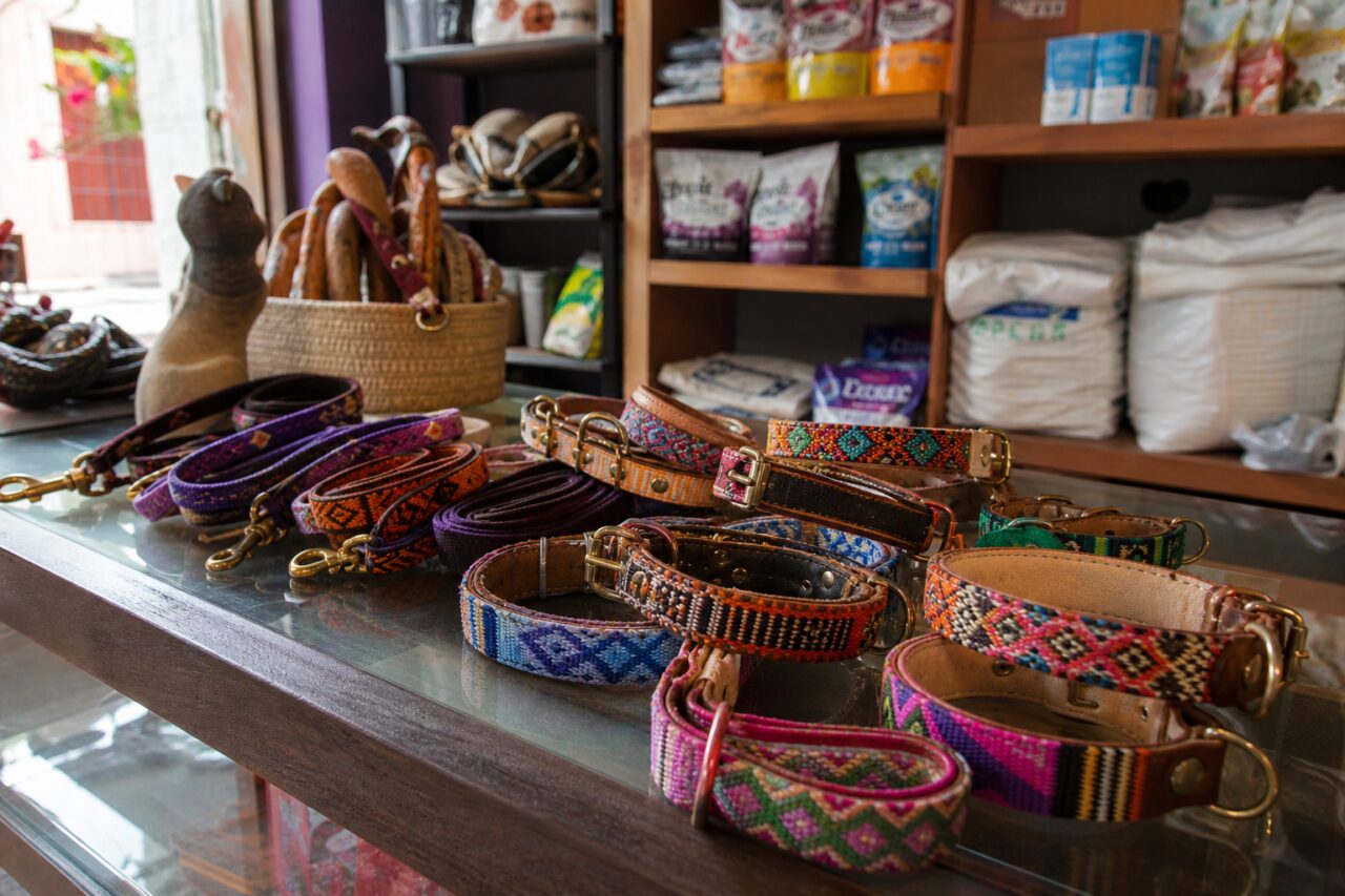 Patterned dog collars displayed on a pet-store counter