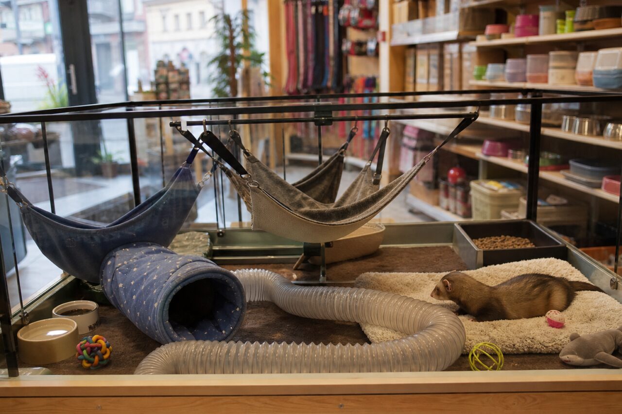Amache in tessuto e tubo da gioco in una gabbia per furetti