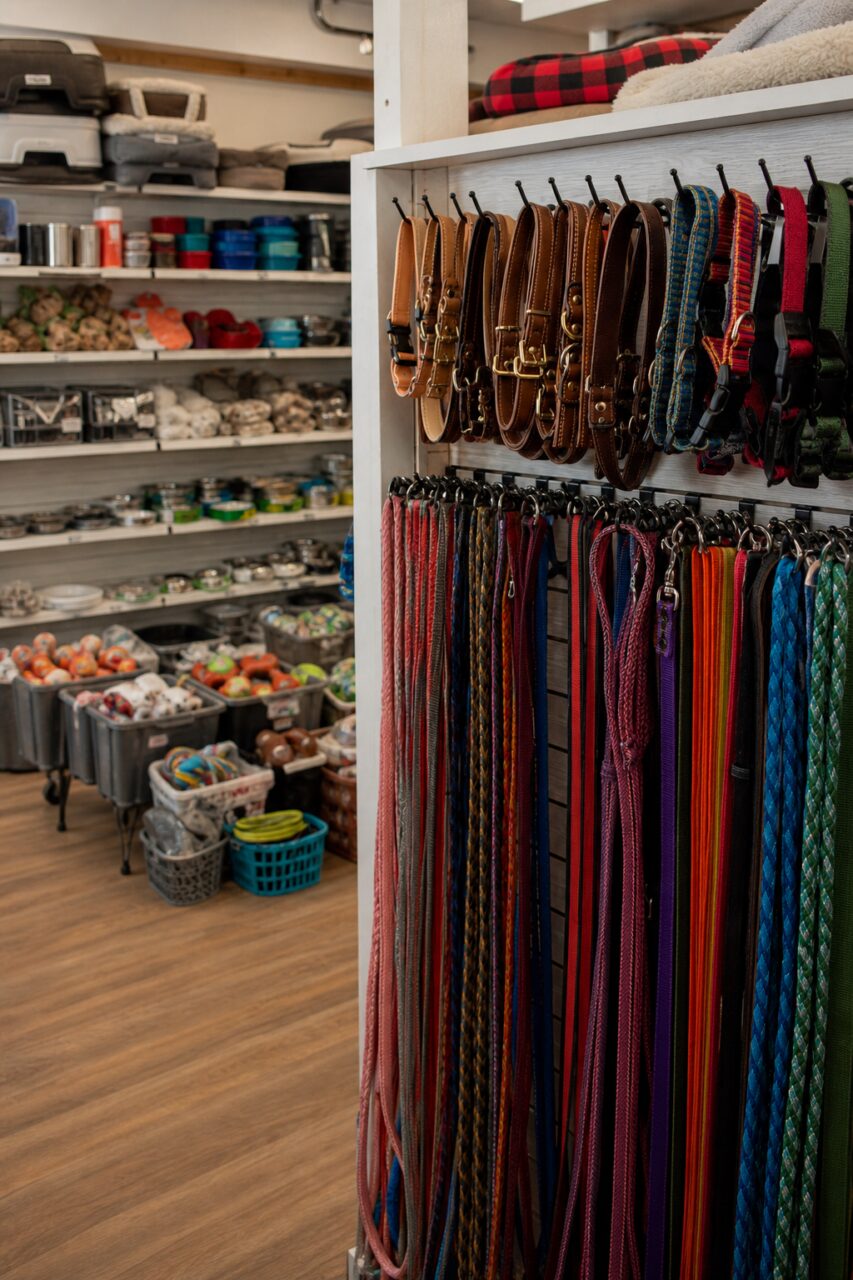 Collar and Leash Display Inside a Pet Shop