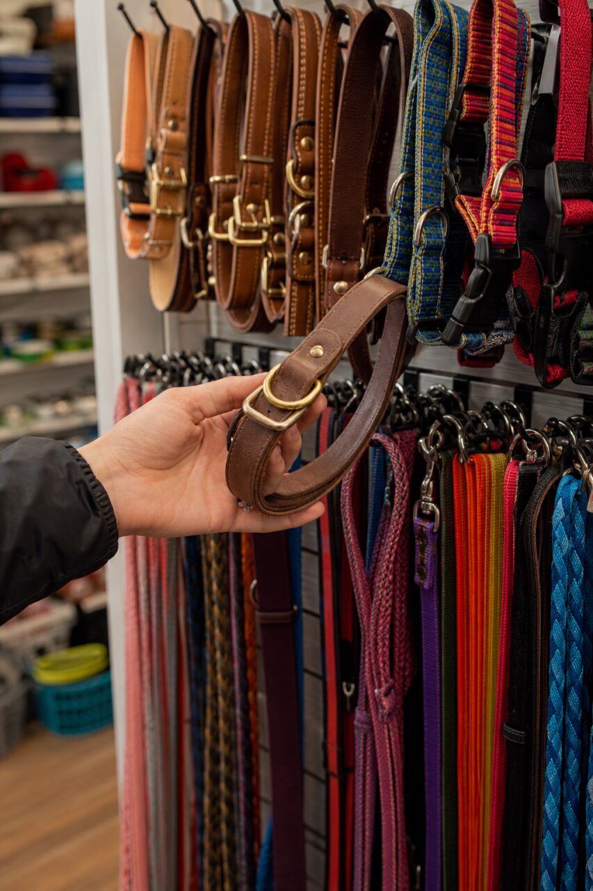 Rack of Brown Collars and Multicolor Leashes