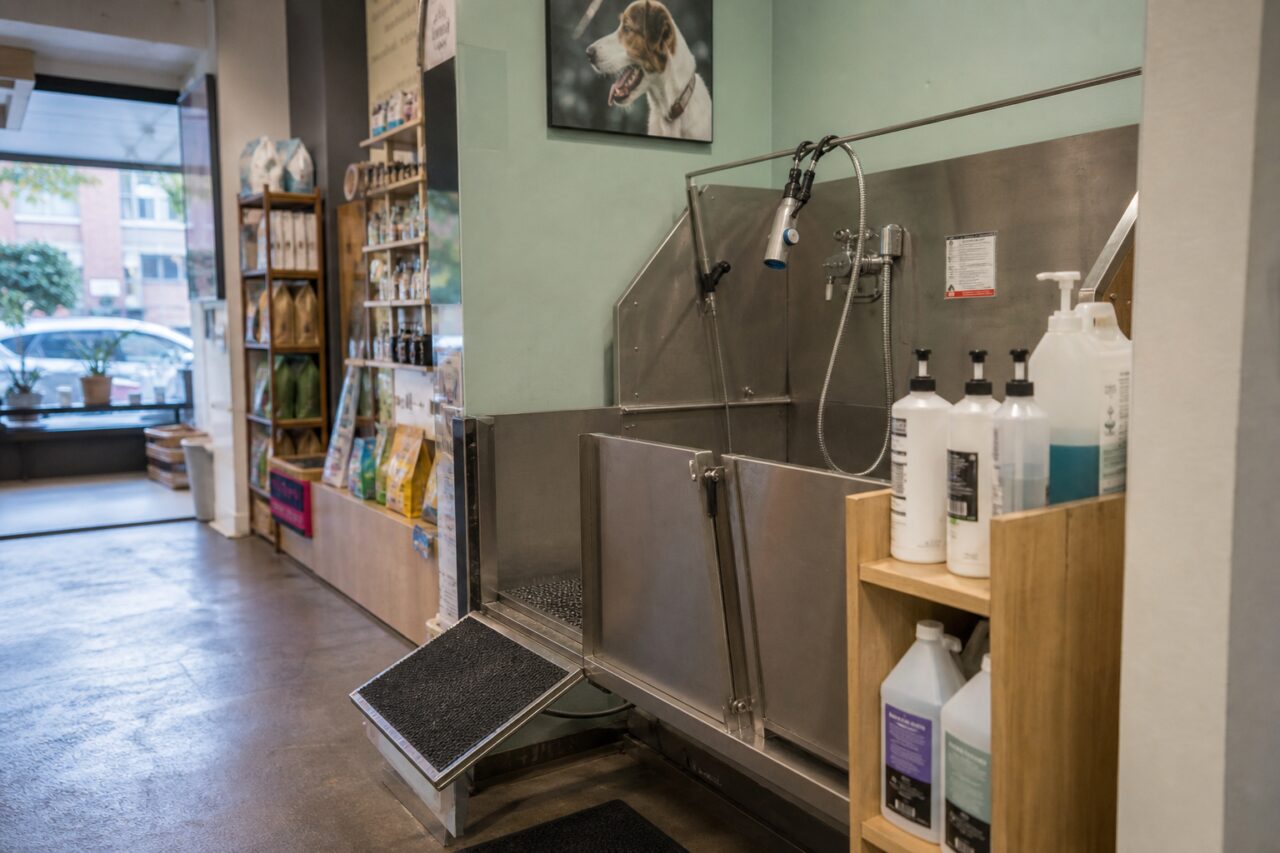 Stainless-steel dog washing station inside a specialist pet store